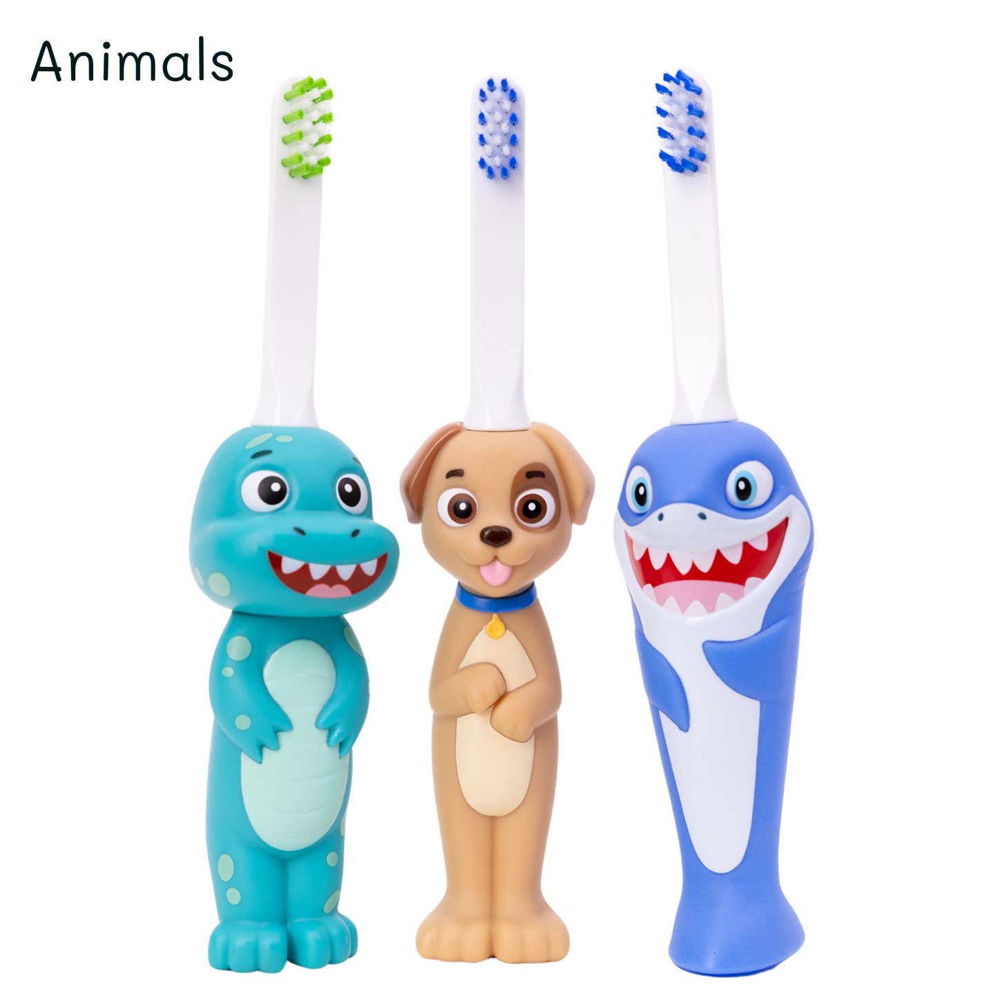 My Brushing Box Subscription